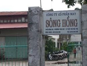 May Sông Hồng phát hành 540.000 trái phiếu chuyển đổi