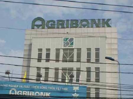 Truy tố 5 cựu cán bộ Agribank Cẩm Phả