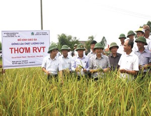 NSC lấy tư duy công nghiệp làm nông nghiệp