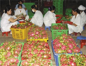 DN Việt, tìm cơ hội mới tại thị trường cũ