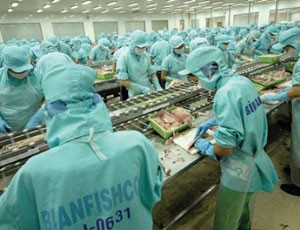 DN mới sinh không bù nổi DN chết
