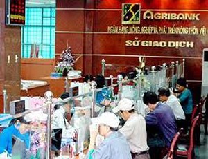 Nguyên quyền Giám đốc Agribank chuẩn bị hầu tòa