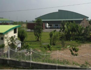 Cổ phiếu VID được giao dịch trở lại