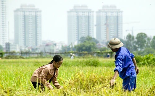 6 tháng, Ủy ban Pháp luật của Quốc hội nhận gần 1.200 đơn thư