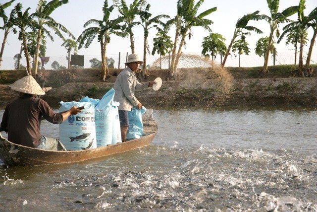 Bảo hiểm thủy sản tiến thoái lưỡng nan