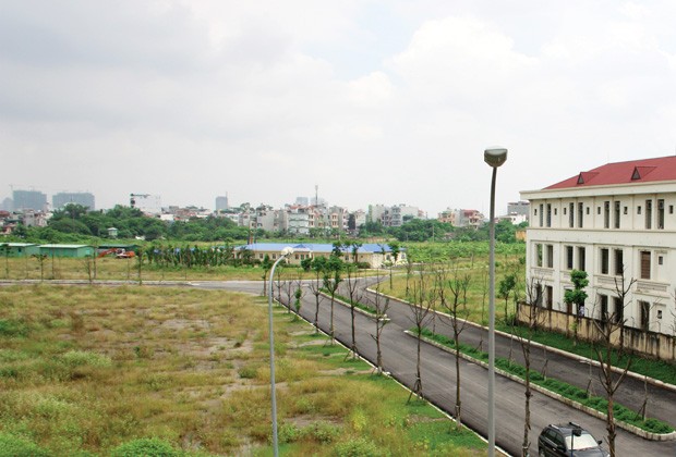 ảnh 1