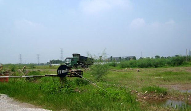 ảnh 1