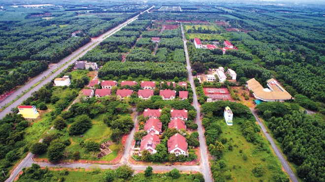 Những làn sóng ngược trên thị trường địa ốc phía Nam