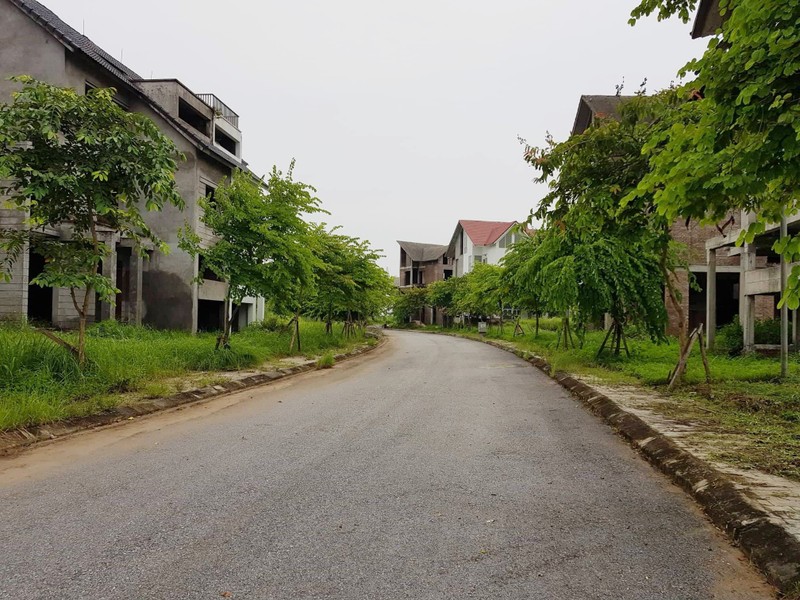 ảnh 3