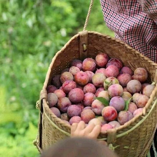 ảnh 7
