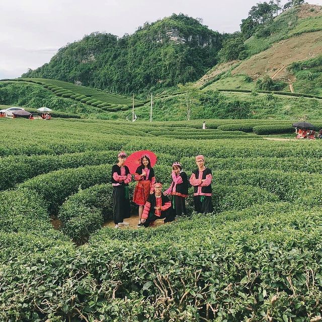ảnh 8