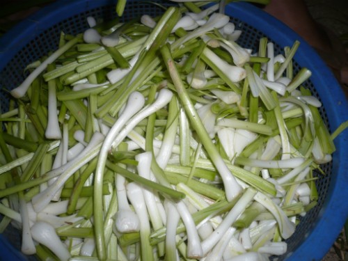 ảnh 7