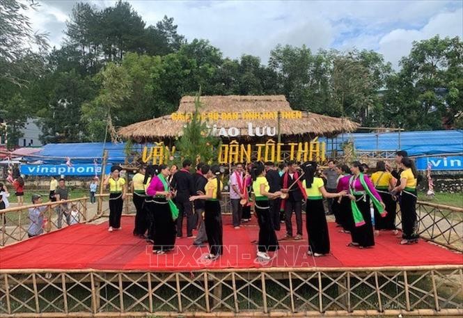 ảnh 7