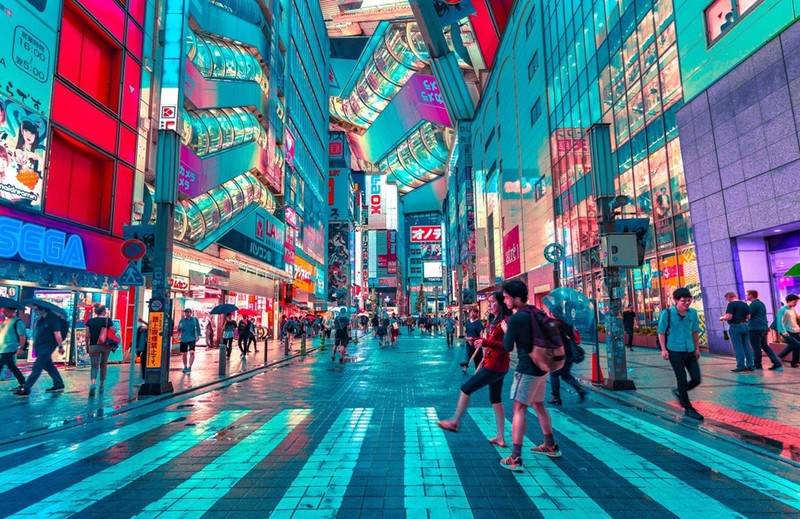 ảnh 7