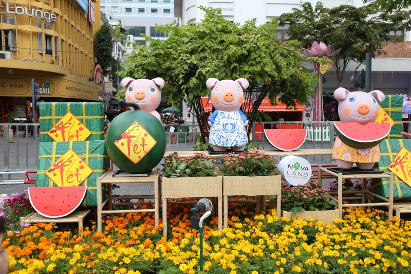 ảnh 14