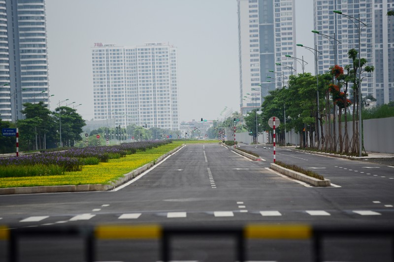 ảnh 13