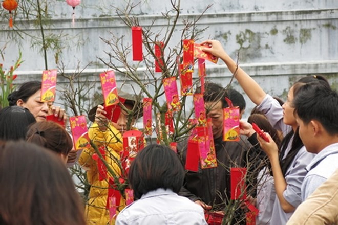 ảnh 7