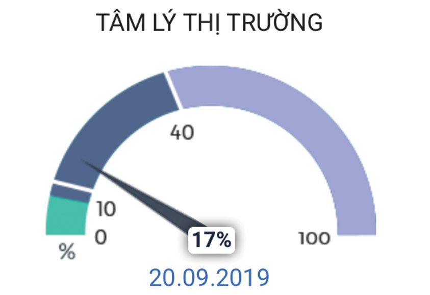 ảnh 7