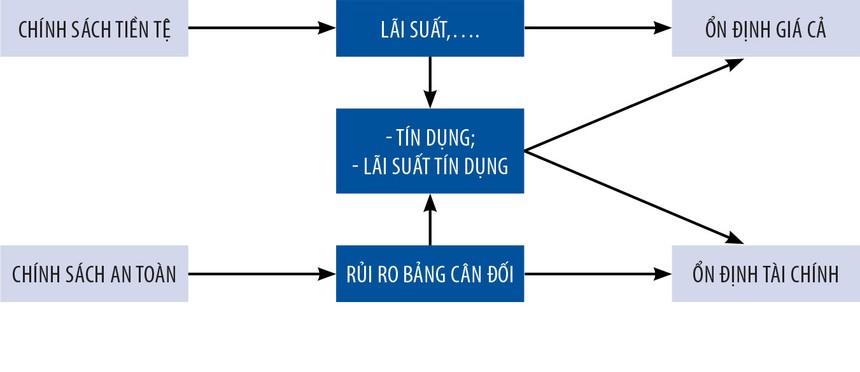 ảnh 5