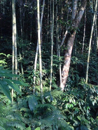 ảnh 1