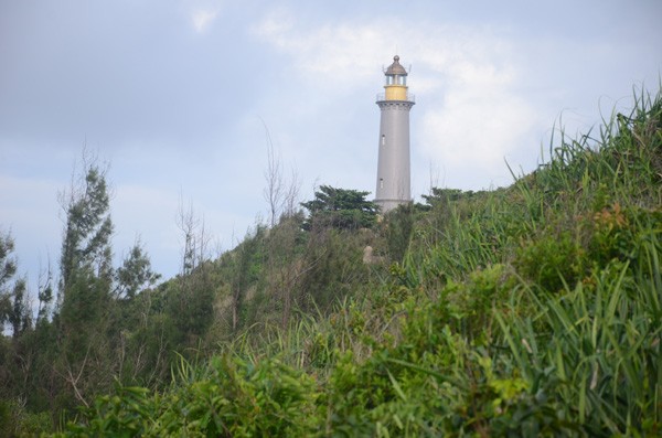 ảnh 1