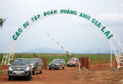 Hoàng Anh Gia Lai chào lãi suất trái phiếu khoảng 12%/năm