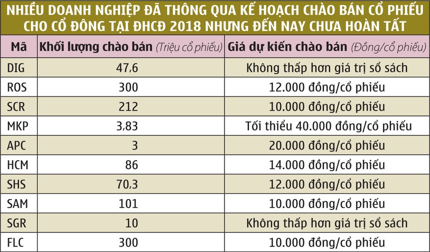 ảnh 1