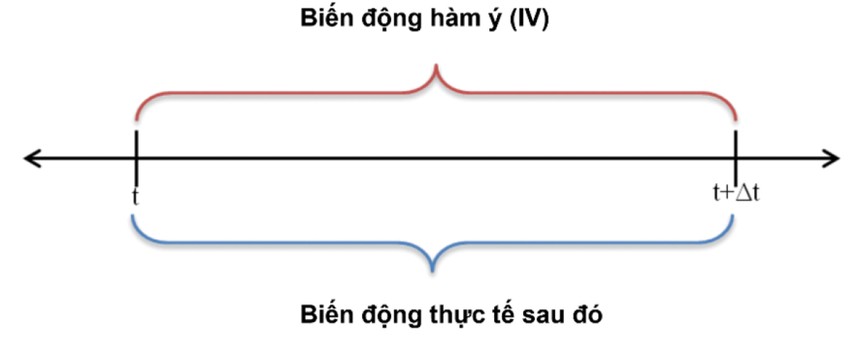 ảnh 3