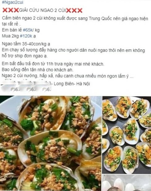 ảnh 1