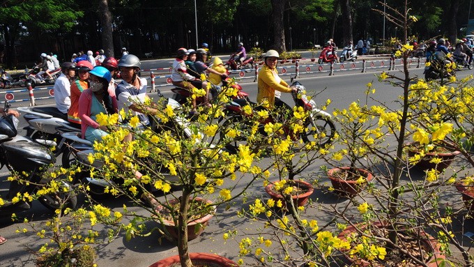 di tim diem ngam hoa mua xuan dep nhat viet nam - 2 Đi tìm điểm ngắm hoa mùa xuân đẹp nhất Việt Nam - 2