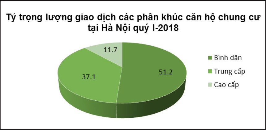 ảnh 8
