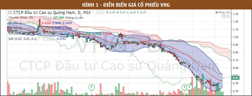 ảnh 1