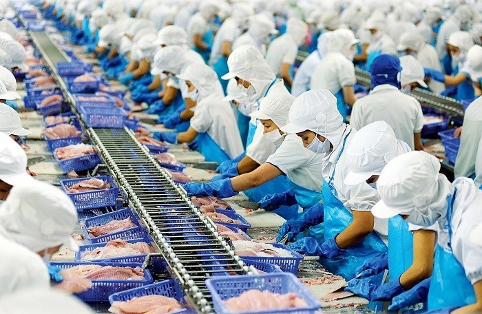 9 tháng đầu năm, lợi nhuận sau thuế của của Vĩnh Hoàn đạt 981 tỷ đồng, giảm 5% so với cùng kỳ.