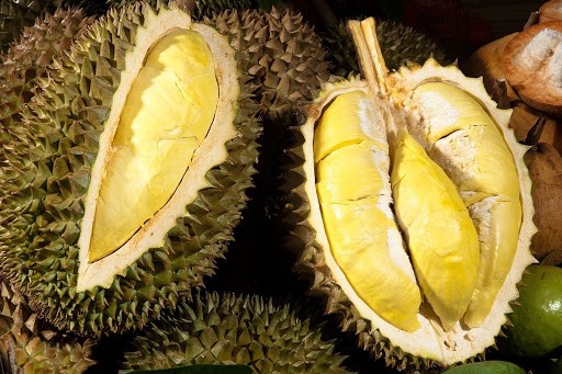 ảnh 1