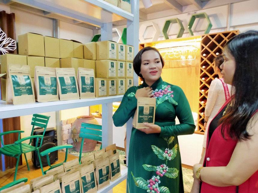 Công ty DOTATA chính thức đi vào hoạt động