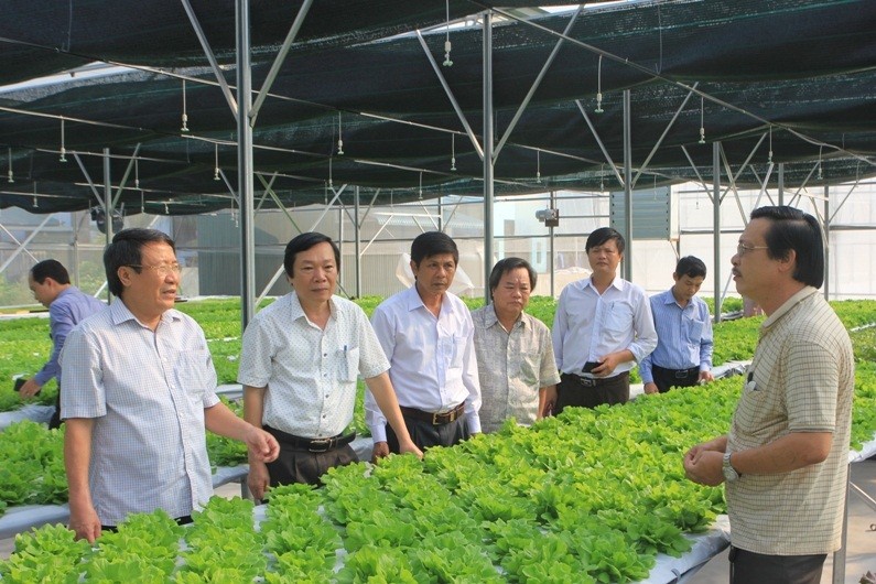 Thêm một dự án nông nghiệp công nghệ cao “khủng” dự kiến đầu tư vào Quảng Trị