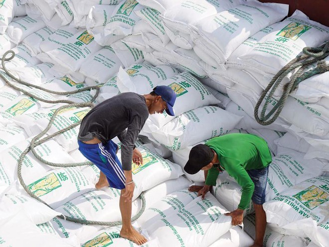 Quy trình phân bổ 80.000 tấn gạo trong EVFTA