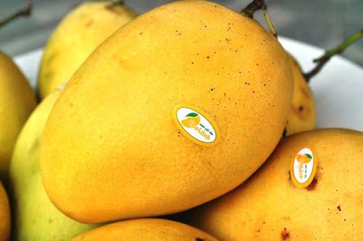 Nhiều lô xoài Cao Lãnh khi xuất sang Trung Quốc bị mạo danh, mượn tên, ảnh hưởng đến uy tín của sản phẩm.