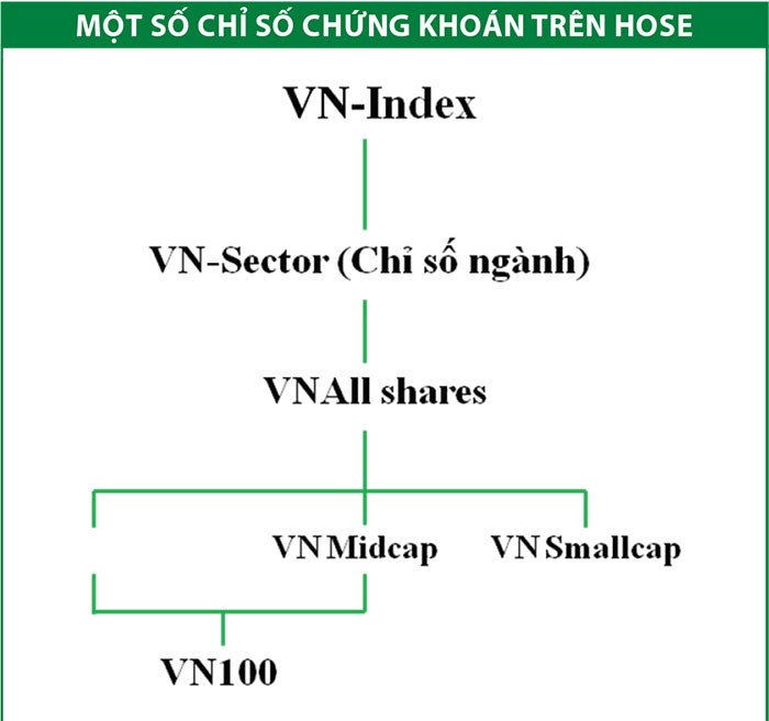 Dấu ấn bộ chỉ số HOSE Index