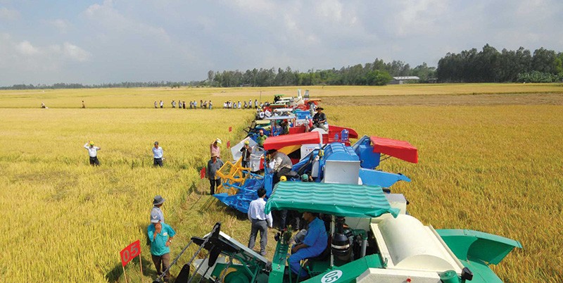 Sứ mệnh của Agribank là vì những vụ mùa bội thu