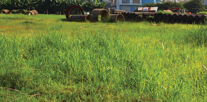 Dự án treo vừa gây lãng phí tài nguyên đất, vừa làm mất mỹ quan đô thị. Ảnh: Lê Toàn