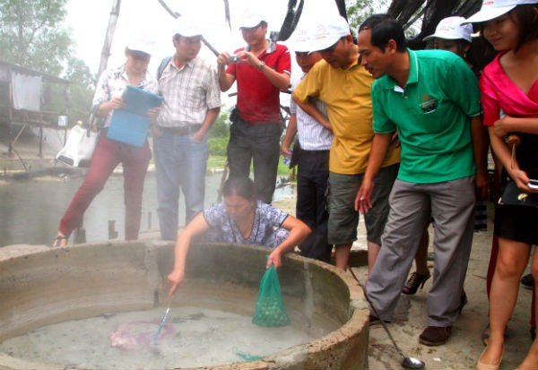 Du khách tham quan, luộc gà, trứng trong nước nóng tự nhiên suối Hội Vân.