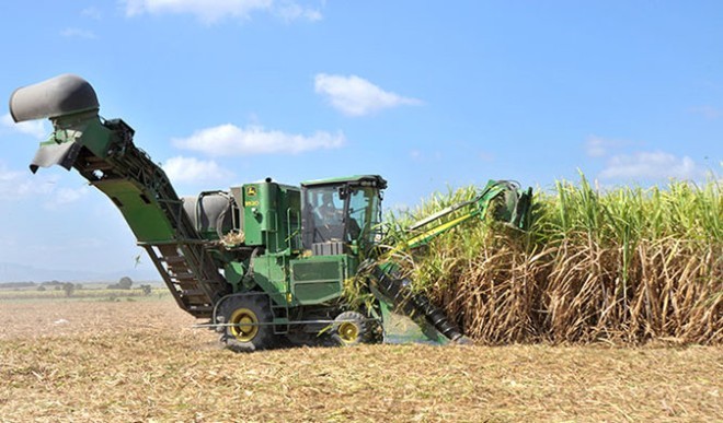 Nghiên cứu giống mía, trồng mía công nghệ cao, thu hoạch bằng cơ giới hóa đang là một trong những mục tiêu mà Khu Nông nghiệp ứng dụng công nghệ cao Phú Yên hướng tới.