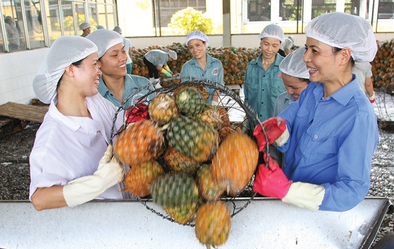 Doanh nghiệp lạc quan với triển vọng kinh doanh cuối năm