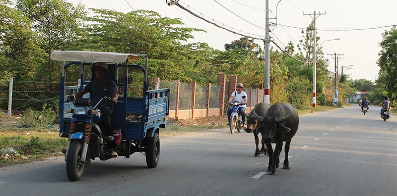 Nhiều khu đất tại quận 9, TP.HCM dù hạ tầng nhếch nhác, nhưng vẫn tăng giá phi mã. Ảnh: Việt Dũng 