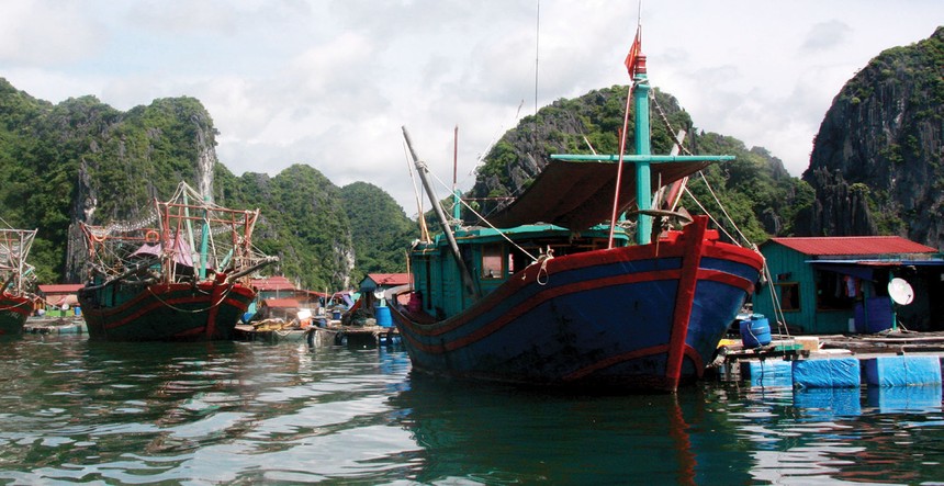 Bảo hiểm hàng hải nói chung và bảo hiểm tàu cá nói riêng từng là nghiệp vụ thế mạnh của một số công ty bảo hiểm phi nhân thọ