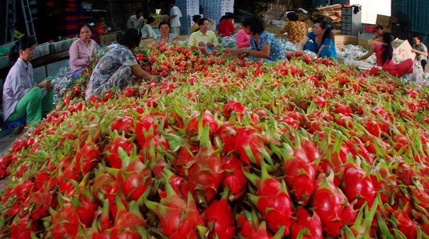 Đại biểu Quốc hội: Không thể mãi đòi hỏi người tiêu dùng thông minh