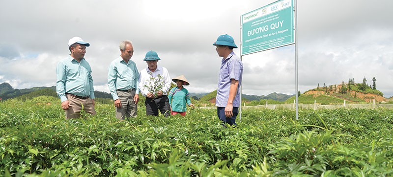 Cạnh tranh ngành dược sẽ đi vào chiều sâu