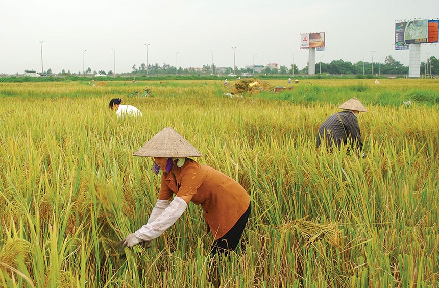 Huy động 45.000 tỷ đồng xã hội hóa đầu tư phát triển nông nghiệp