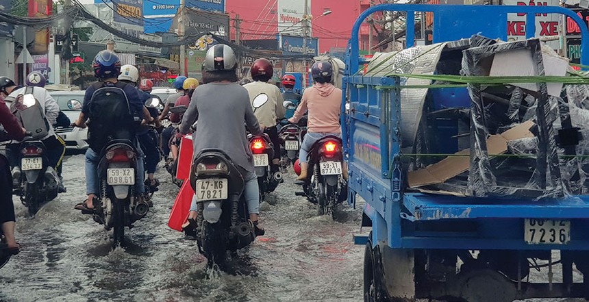 Tốt nhất, nên đi xem nhà khi trời mưa hoặc triều cường